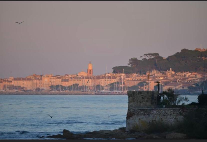 Maison Classee Sur Le Golfe De St Tropez Saint-Tropez Ngoại thất bức ảnh